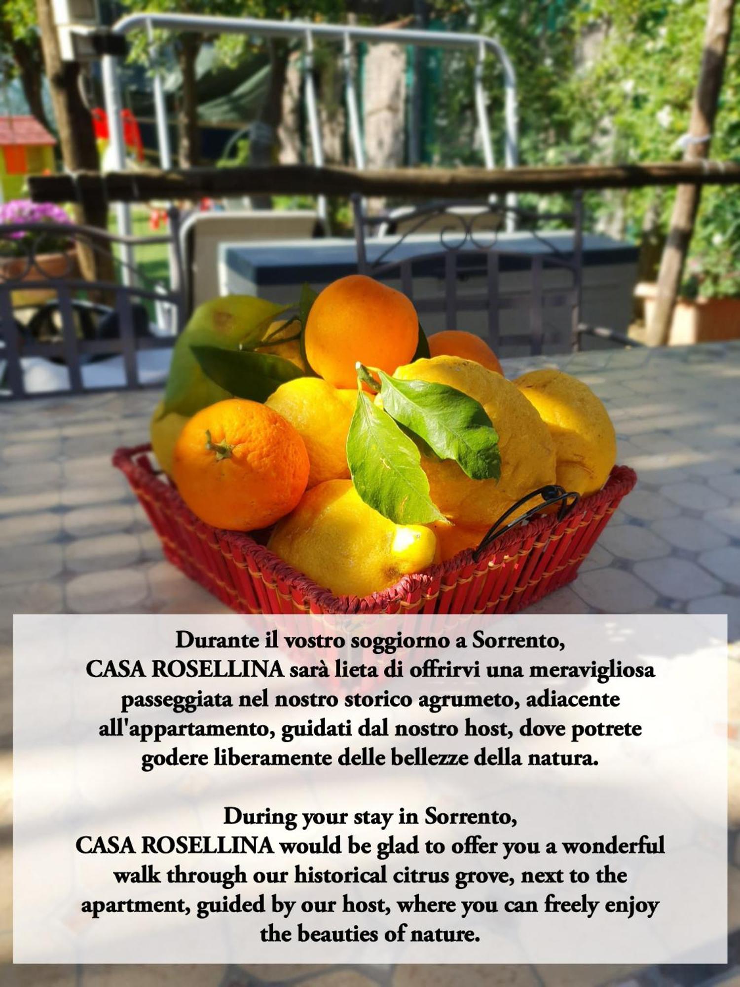 Casa Rosellina Sorrento Villa Екстериор снимка